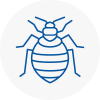 Bed Bug Extermination In Harrow On The Hill