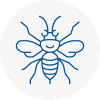 Harrow On The Hill Hornet Nest Removals