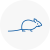 Mice Exterminators In Harrow On The Hill