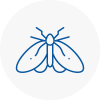 Moth Control Specialists In Harrow On The Hill